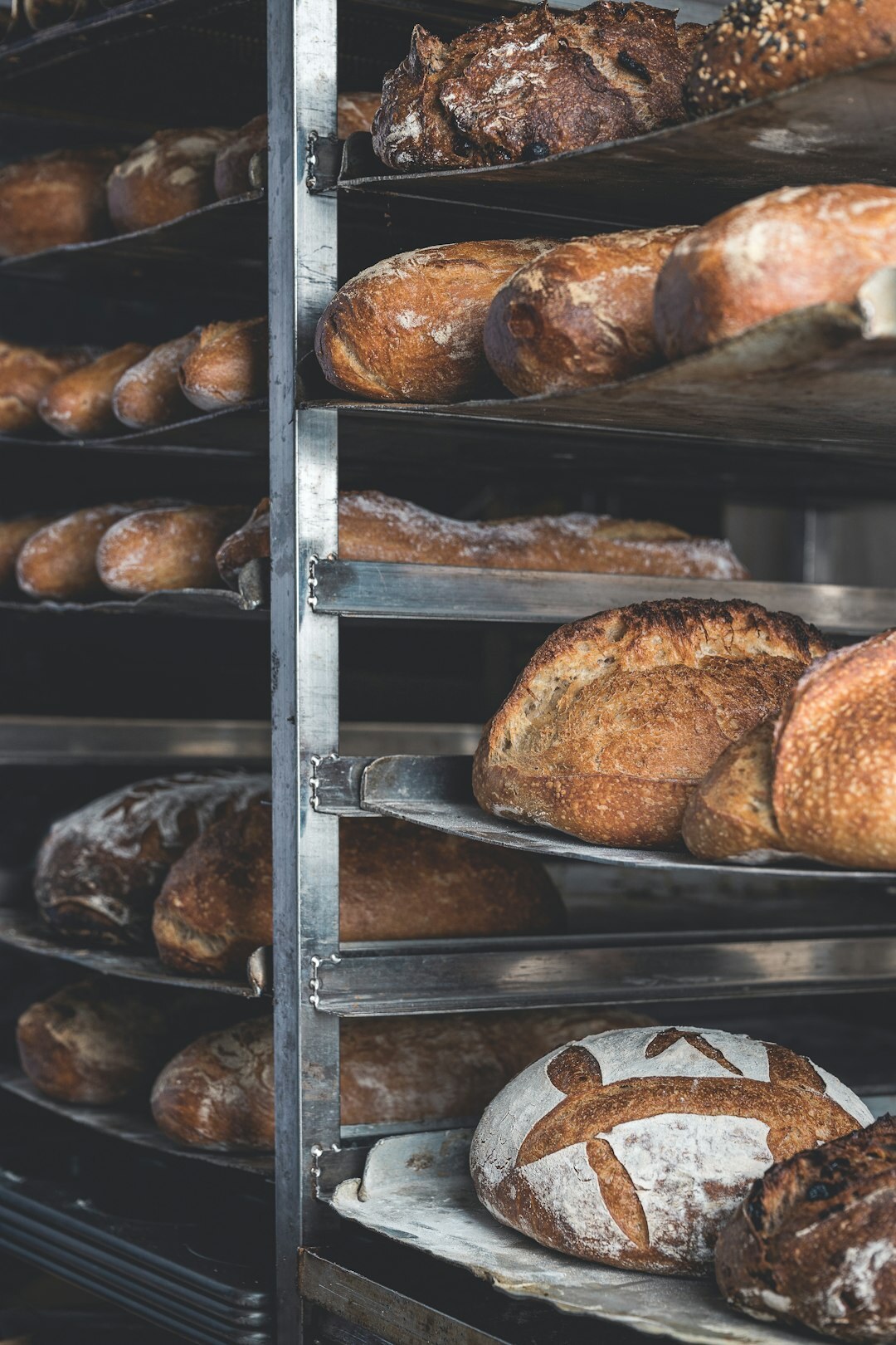 freshly baked bread